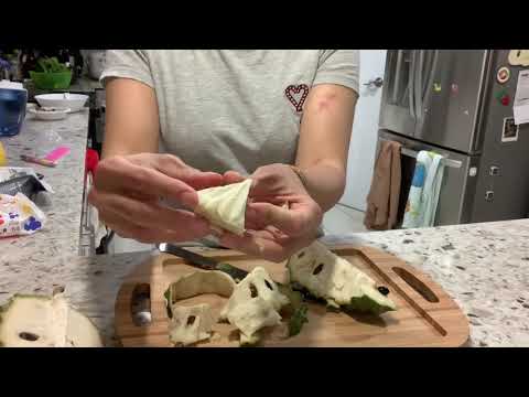 Atemoya Tasting: Huge African Pride 2. Pick & Eat