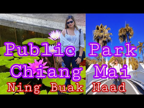 Parque Público Nong Buak Haad | Chiang Mai | Tailândia | Viagens 2022 | Cess Travel Vlogs