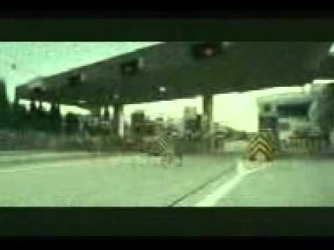 Anjing Patah Hati.3gp