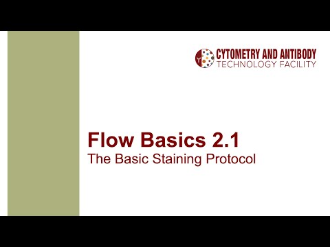 Flow Basics 2.1: The Basic Staining Protocol