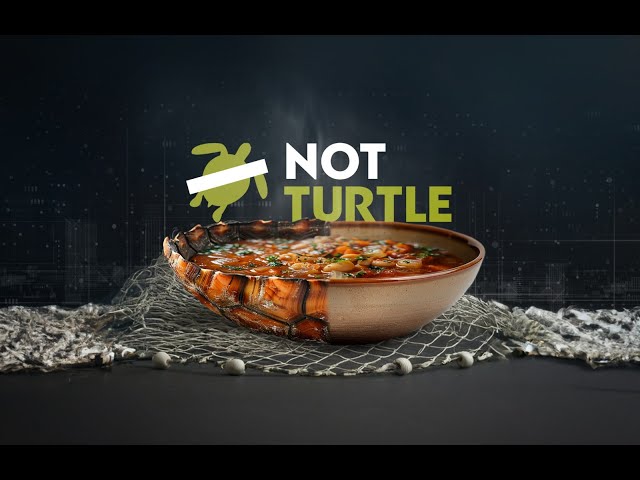 NotTurtle – The story of how our AI & team created the first dish to help save endangered animals