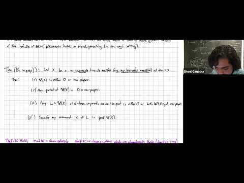 Categorical non-properness in wrapped Floer theory - Sheel Ganatra