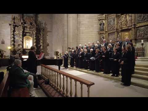 Schola Cantorum (Zarautz) 2025 - 1/4
