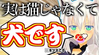 キツネでも猫でもなく犬だった?フブキちゃん【ホロライブ切り抜き/白上フブキ/ホロライブ】