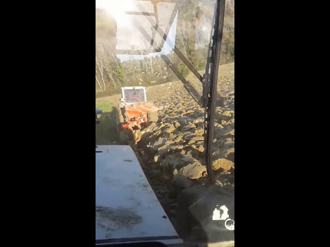 Aratura con Lamborghini 1506