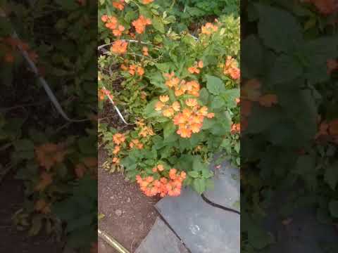 #midhuna #instareels🤩🤩🤩🤩🤩