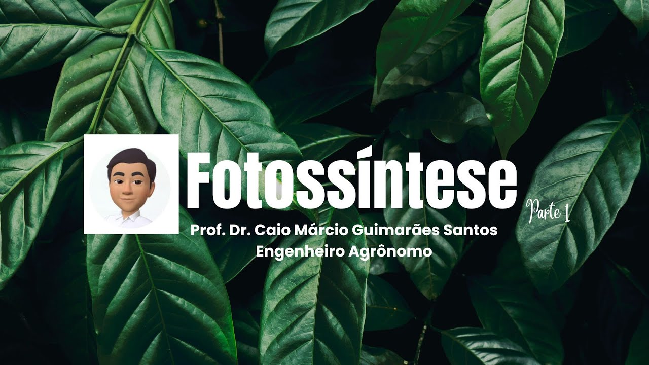 Fotossíntese Parte 01