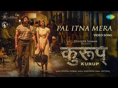 Pal Itna Mera — watch video