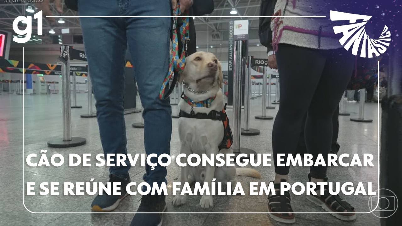 Fantástico: cão de serviço consegue embarcar e se reúne com família em Portugal