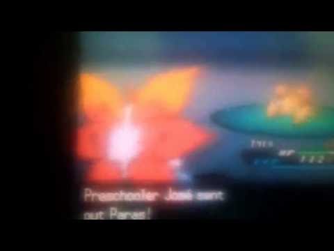 Volcarona vs scyther and paras