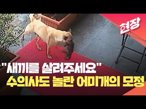 지읒.. 아니 인간이 한 건 했다.