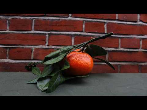 Tráiler de Orange Peel (2026)