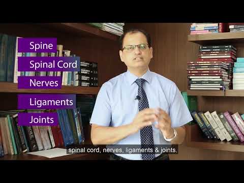 download lagu mp3 mp4 Spine Doctor In Ahmedabad, download lagu Spine Doctor In Ahmedabad gratis, unduh video klip Spine Doctor In Ahmedabad