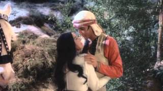 Elvis - My Desert Serenade