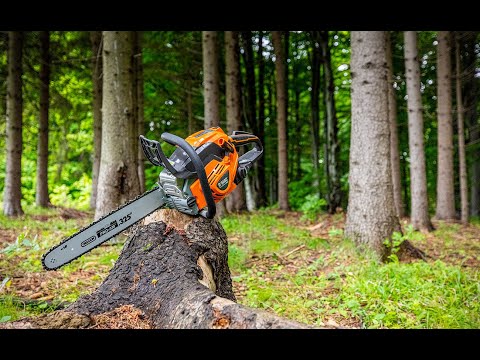 #3 In cautarea drujbei!!!