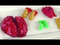 WILD Science Zombie Party Commercial