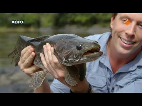 Freeks Wilde Wereld - S09E12 - Jagers aan de oever