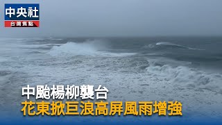 颱風楊柳襲台　釀33傷1釣客失蹤