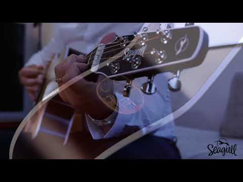 Пример звучания электроакустической гитары Seagull Maritime SWS Concert Hall CW QIT