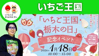 【2026年1月18日】いちご王国マルシェにでます【いちごとまるがおさん こすげ けいこ】#栃木県 #佐野市 #漫画家