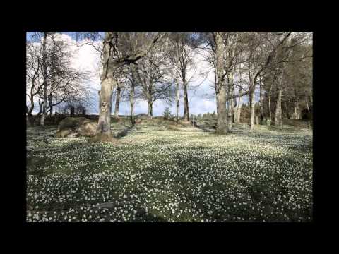 Spring Is Here - Stefan Wenerklang and Henrik Mossberg