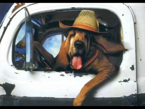 Michal Tučný - Starýho psa novým kouskům nenaučíš [mp3]