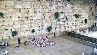 יום ירושלים בכותל המערבי: צפו בתפילה החגיגית ברוב עם והדר (שידור חי ממצלמות הכותל המערבי) - התמונה מוצגת ישירות מתוך אתר האינטרנט יוטיוב. זכויות היוצרים בתמונה שייכות ליוצרה. קישור קרדיט למקור התוכן נמצא בתוך דף הסרטון