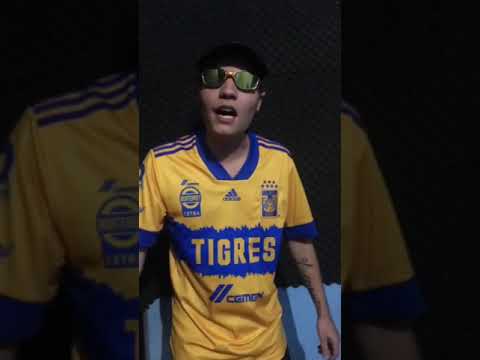 Medley 1.0 tigerbeats -Mc Mk Bolado - batatabeats