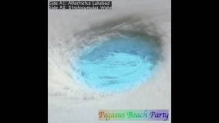 [Pegasus Beach Party] Altostratus Lakebed