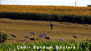 Çadır Kurdum Düzlere - Ünal Hasan