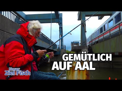 'AKTION NORDSEE' in the CITY: On EEL in the HUSUMER HARBOR - Our goal is fish with Jörg Ovens