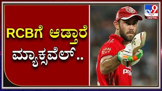 Royal Challengers Bangalore Bought Glenn Maxwell For Whopping Price Of 14.25 Crore
