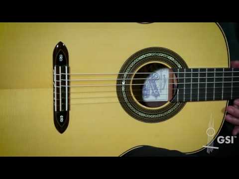 Amalia Ramirez - Guitarra de Tablao