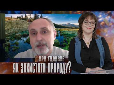 Карпаты под угрозой: почему зоозащитники выступают против ветрогенерации на полонинах?