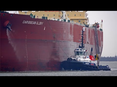 8 VERY BIG VESSELS ARRIVALS AND DEPARTURES AT ROTTERDAM PORT - 4K SHIPSPOTTING JANUARY 2024