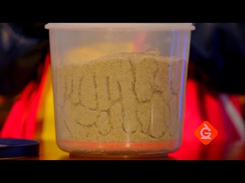 Ant Farm | DIY with Zoe