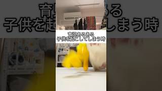 育児あるある　子供を起こしてしまう時 #育休1年 #赤ちゃん #育児あるある #寝かしつけ