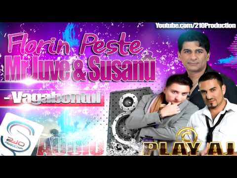 Florin Peste si Play Aj - Vagabontul