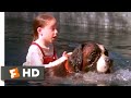 Beethoven 1992 Drowning Rescue Scene 5 10 Movieclips