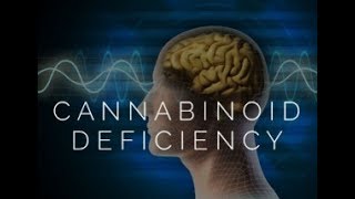 CBD Oil Why is this the Best Hemp Oil on the Planet!