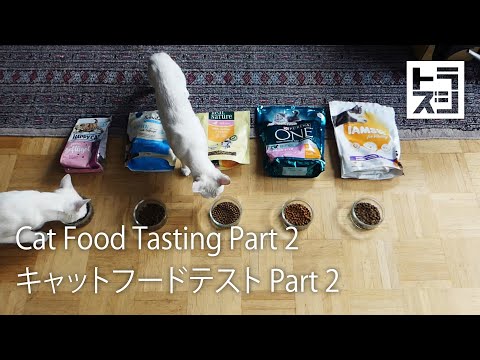 Dry Cat Food Tasting Part 2