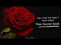 Can I Call You Rose?  Lyric Video