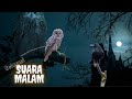 Relaksasi Suara Malam Jangkrik Katak Burung Hantu Gagak Belalang Nyamuk Angin Malam