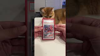 Which IR is better? #pokemon #pokemoncards #psa