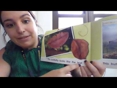 ENL- "The Butterfly Looks Like This" Story and Sentence Pattern.