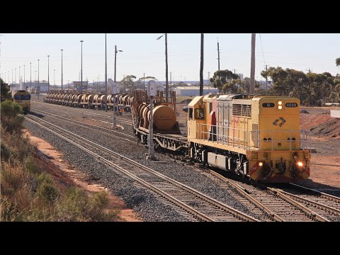 Aurizon Acid, Nickle & Cement Trains + CF on SCT Freight: Trains of West Kalgoorlie