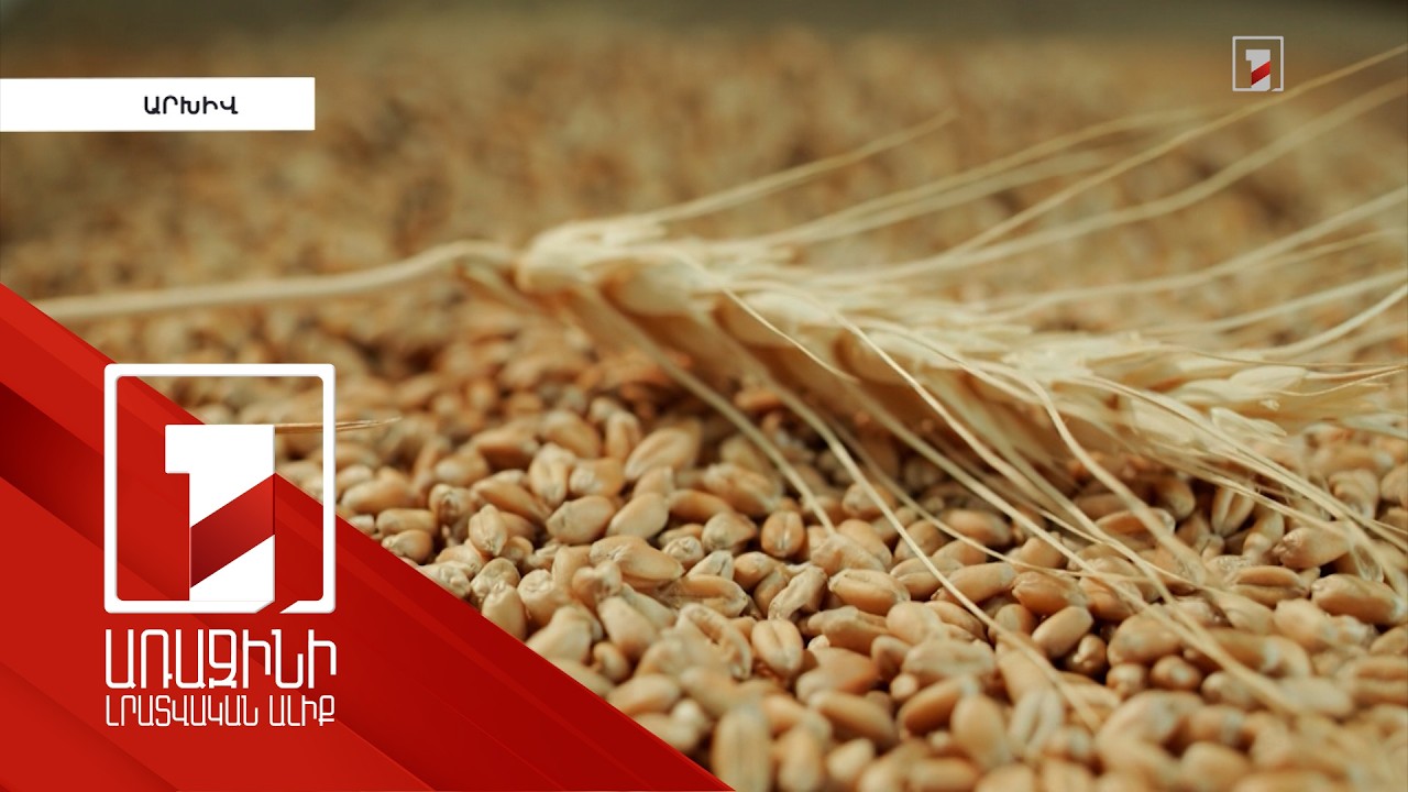 3 հա ցանքի դեպքում պետությունը կսուբսիդավորվի ծախսի 50%-ը