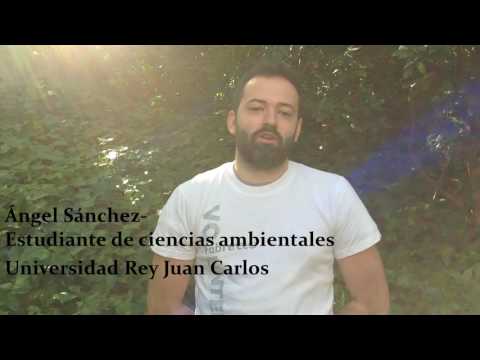 Captura Youtube
