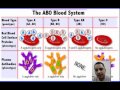 Blood Type Explanation 