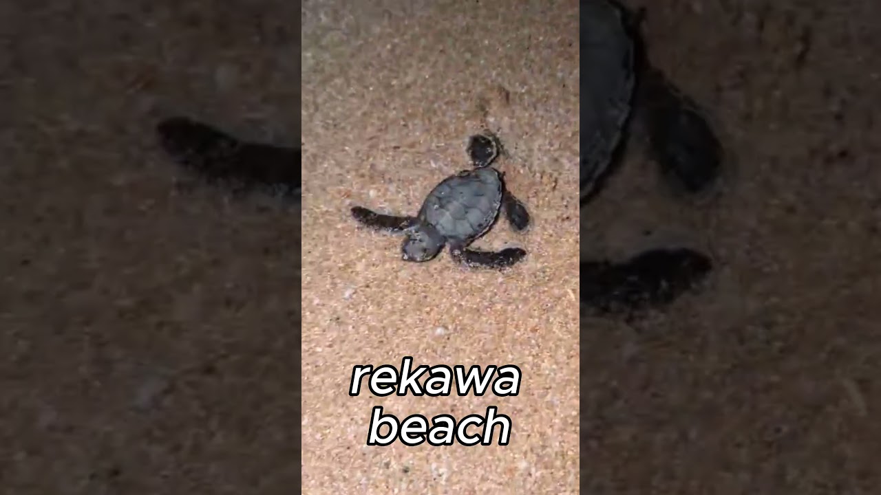 YouTube Short thumbnail